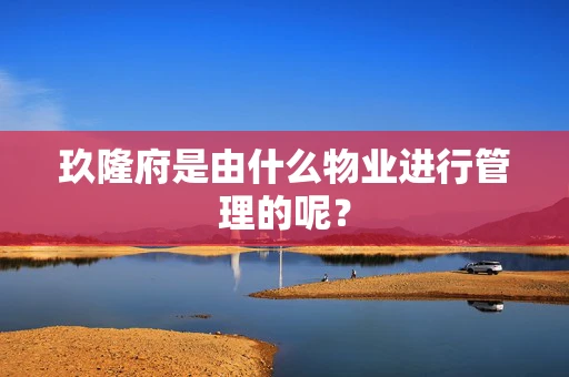 玖隆府是由什么物业进行管理的呢？