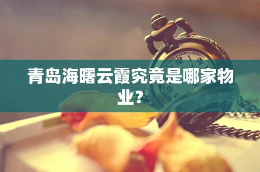 青岛海曙云霞究竟是哪家物业？