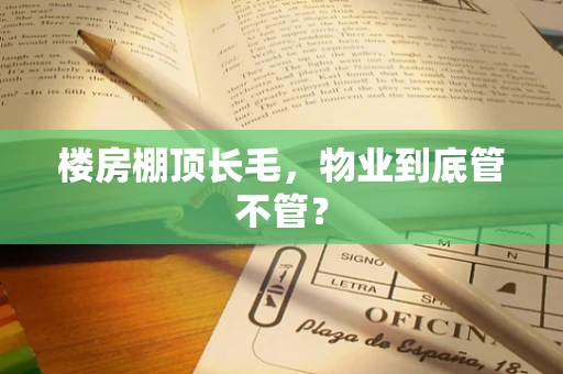 楼房棚顶长毛，物业到底管不管？