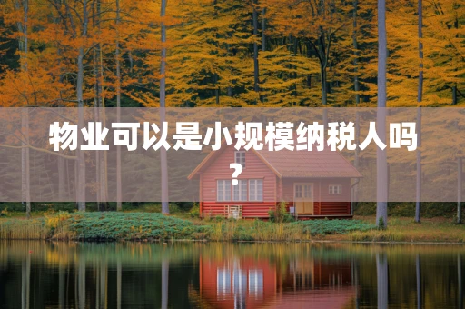 物业可以是小规模纳税人吗？