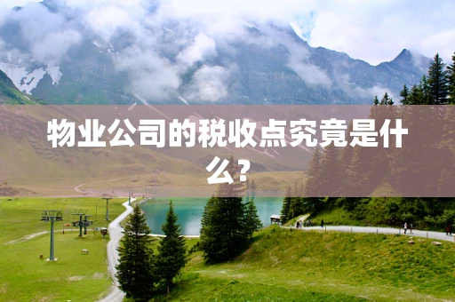 物业公司的税收点究竟是什么？