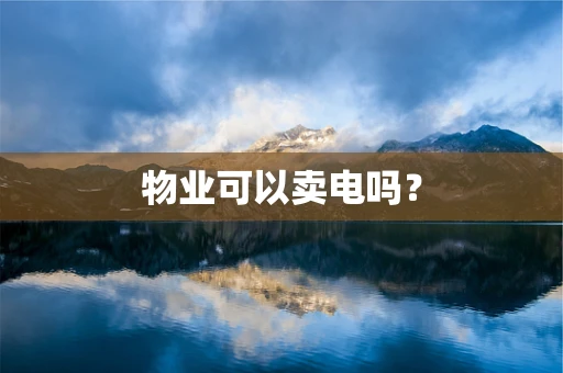 物业可以卖电吗？