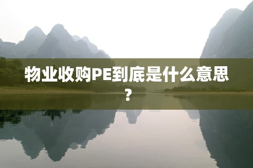 物业收购PE到底是什么意思？