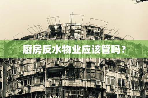 厨房反水物业应该管吗？