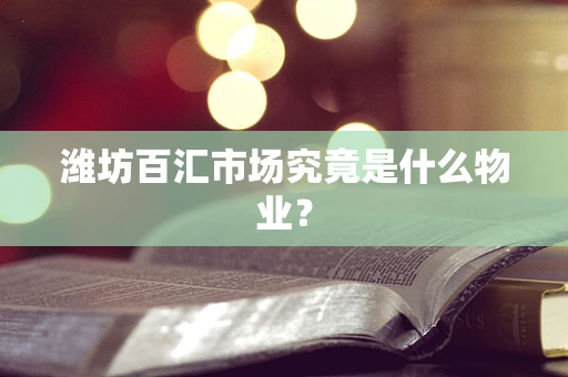 潍坊百汇市场究竟是什么物业？