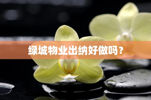 绿城物业出纳好做吗？