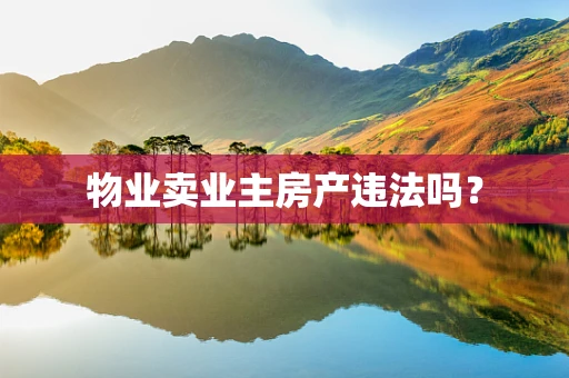 物业卖业主房产违法吗？