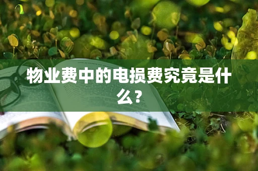 物业费中的电损费究竟是什么？