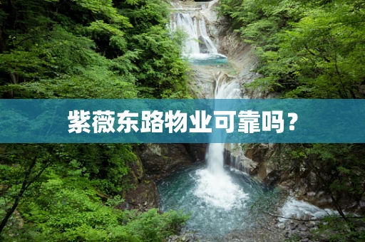 紫薇东路物业可靠吗？
