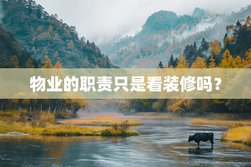 物业的职责只是看装修吗？