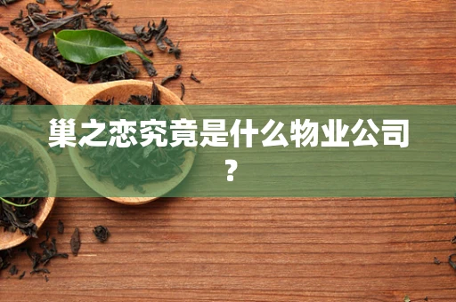 巢之恋究竟是什么物业公司？
