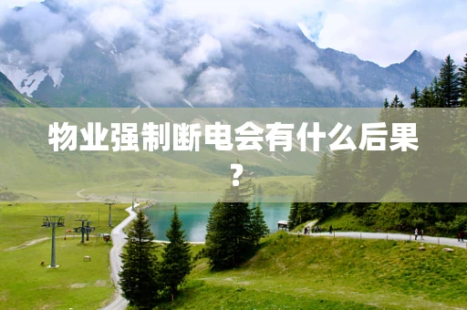 物业强制断电会有什么后果？