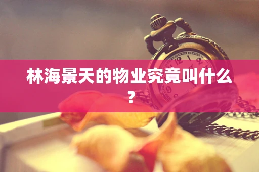 林海景天的物业究竟叫什么？