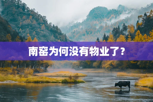 南窑为何没有物业了？