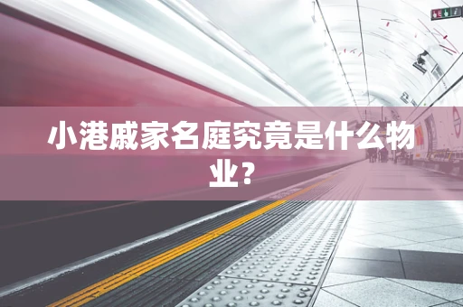 小港戚家名庭究竟是什么物业？