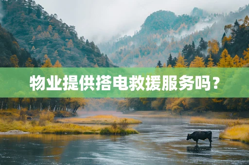 物业提供搭电救援服务吗？