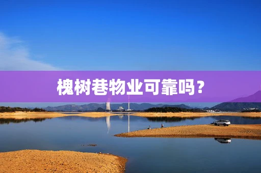槐树巷物业可靠吗？