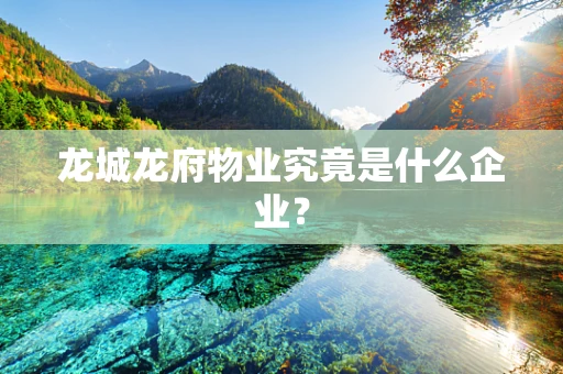 龙城龙府物业究竟是什么企业？