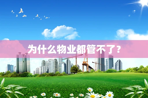 为什么物业都管不了？