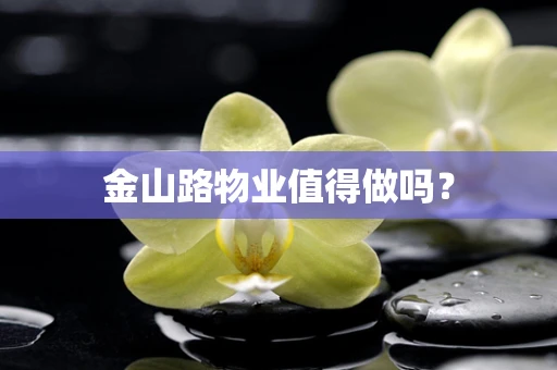金山路物业值得做吗？