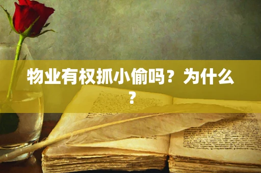 物业有权抓小偷吗？为什么？