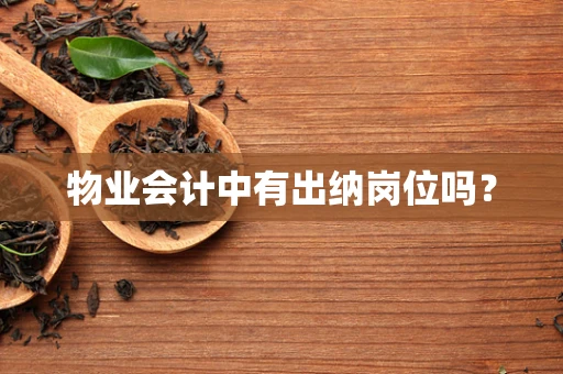物业会计中有出纳岗位吗？