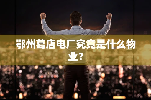 鄂州葛店电厂究竟是什么物业？