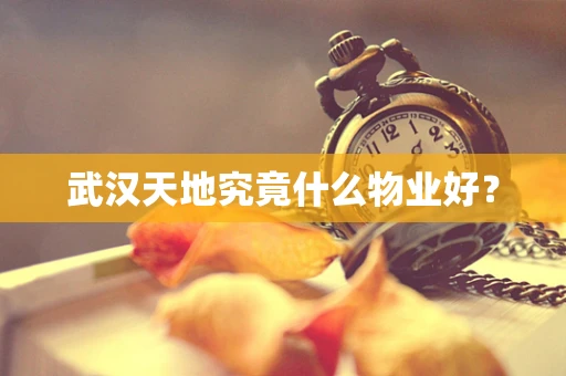 武汉天地究竟什么物业好？