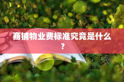 商铺物业费标准究竟是什么？
