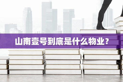 山南壹号到底是什么物业？