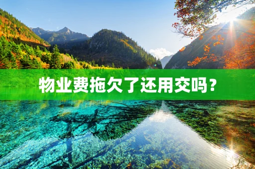 物业费拖欠了还用交吗？