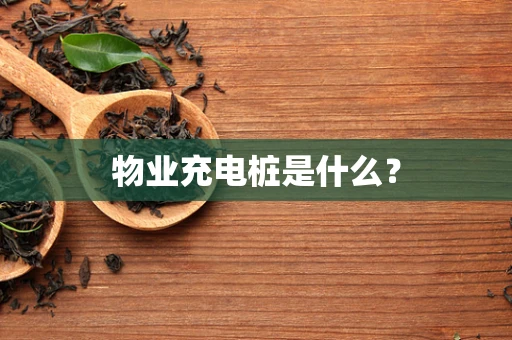 物业充电桩是什么？