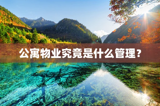 公寓物业究竟是什么管理？