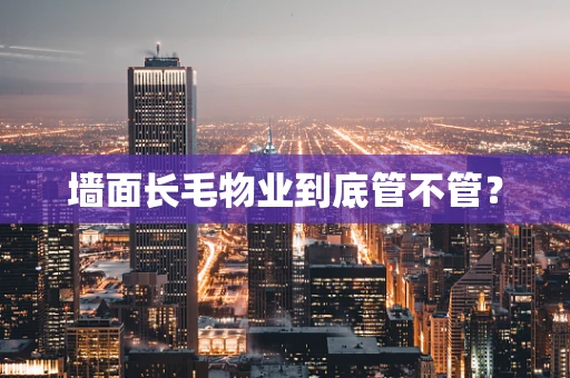 墙面长毛物业到底管不管？
