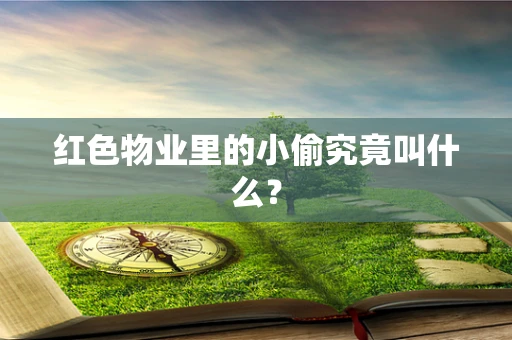 红色物业里的小偷究竟叫什么？