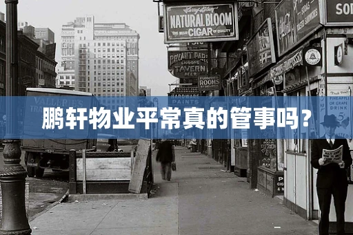 鹏轩物业平常真的管事吗？