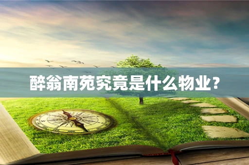 醉翁南苑究竟是什么物业？