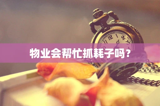 物业会帮忙抓耗子吗？
