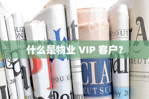 什么是物业 VIP 客户？