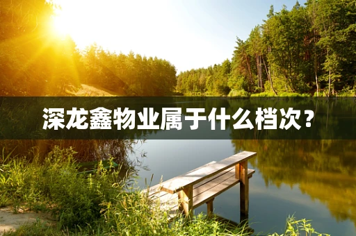 深龙鑫物业属于什么档次？