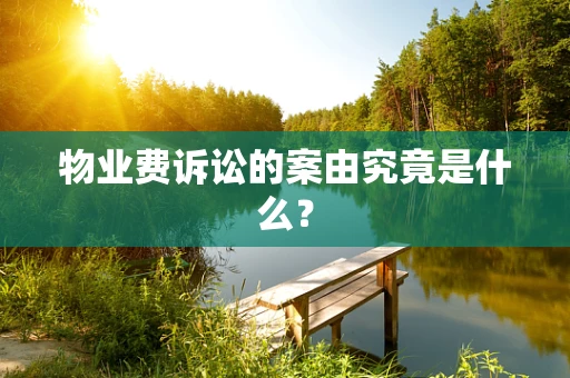 物业费诉讼的案由究竟是什么？