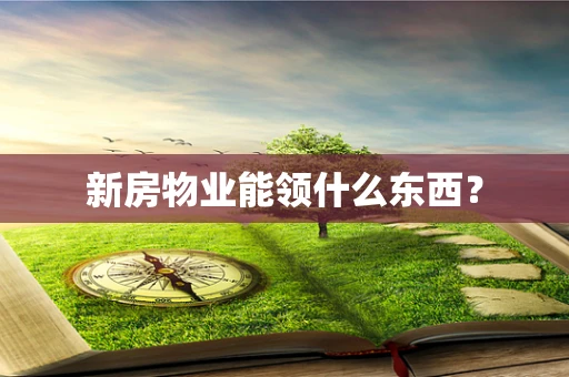 新房物业能领什么东西？