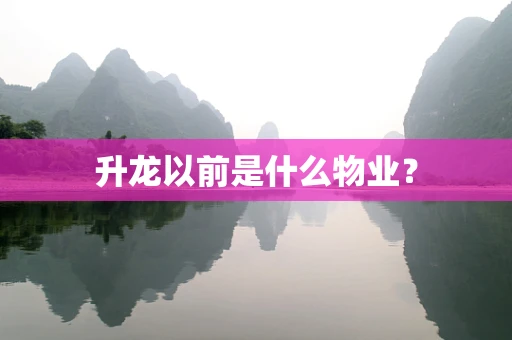 升龙以前是什么物业？