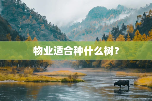 物业适合种什么树？