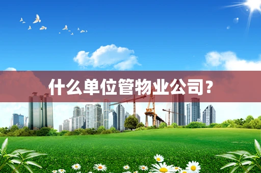 什么单位管物业公司？