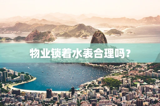 物业锁着水表合理吗？
