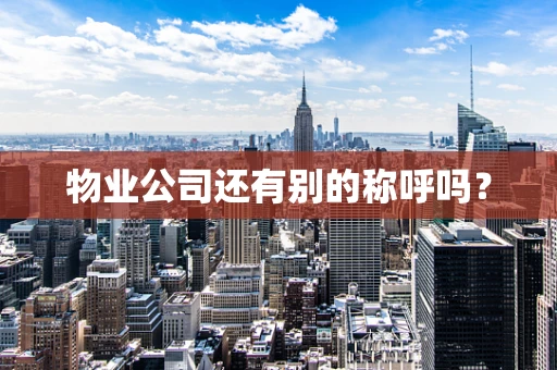 物业公司还有别的称呼吗？