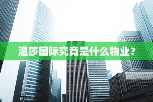 温莎国际究竟是什么物业？