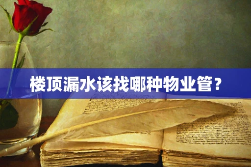楼顶漏水该找哪种物业管？