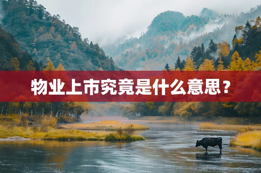 物业上市究竟是什么意思？